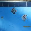 Neptune Pools - Joliet IL