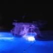 Neptune Pools - Joliet IL